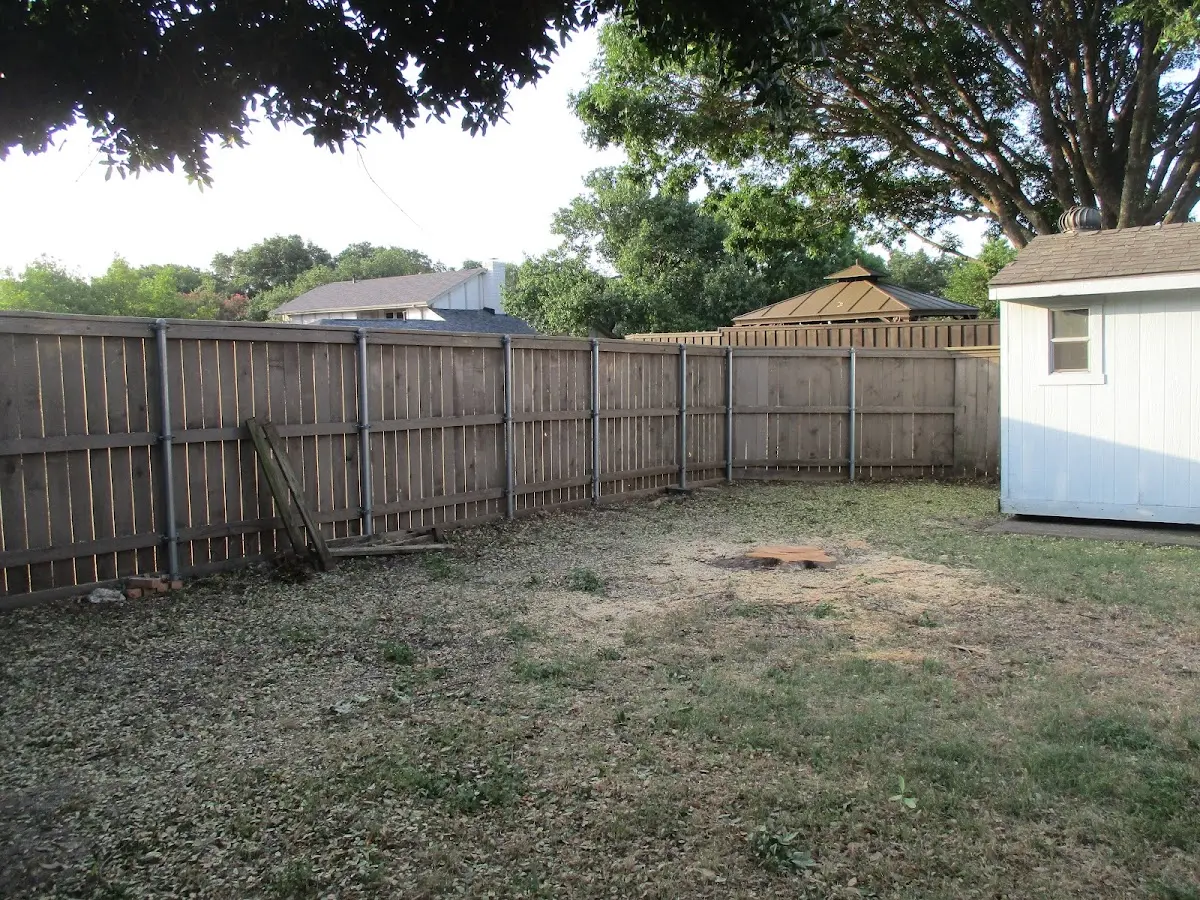 Cleared yard after professional tree removal in Ellenburg Center